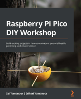 Raspberry Pi Pico DIY Workshop.pdf